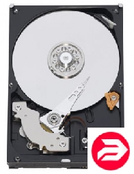 HDD 250 Gb WD (7200) SATAII, 8Mb cache